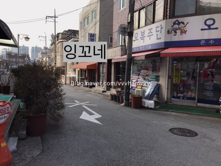 잉꼬주단 이미지