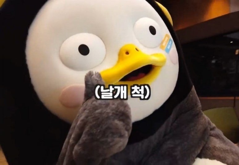 또오랑 이미지