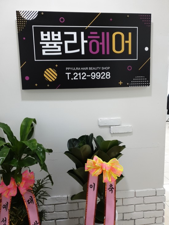 쁄라 헤어 이미지