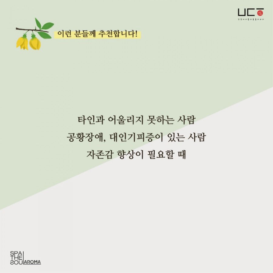 달콤아로마 이미지