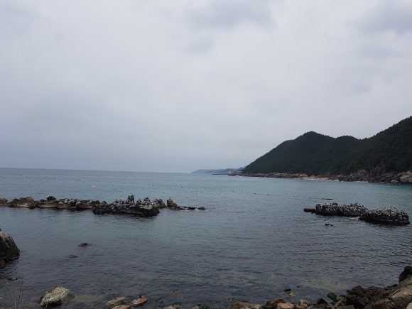 푸른축산 이미지