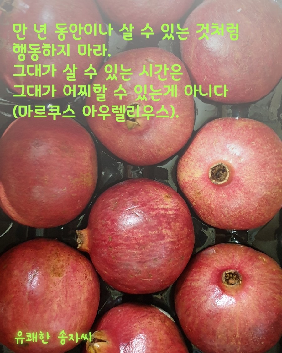 힐링건강관리 이미지