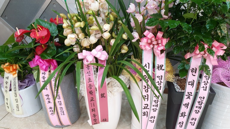 약손간병 이미지
