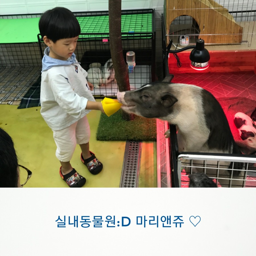 마리앤핸즈 이미지
