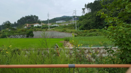 (주)휴먼센추리 이미지