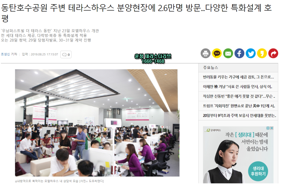 디앤케이개발 이미지