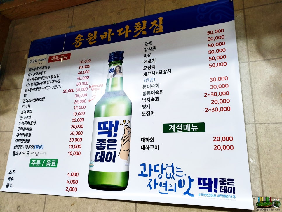 조이너스부산 이미지