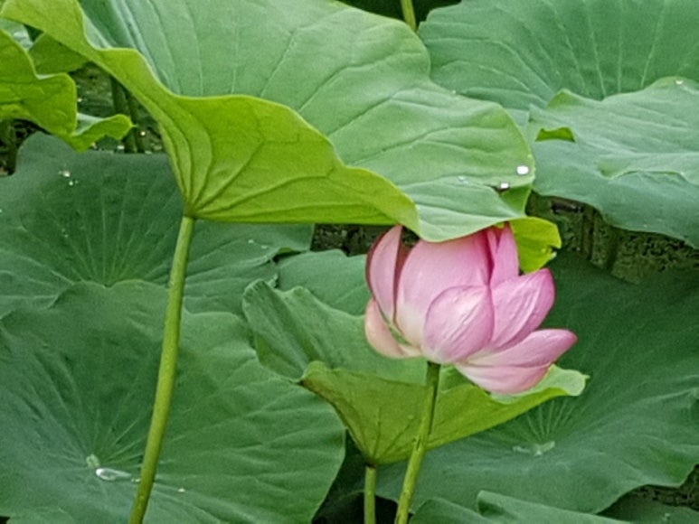 별상사 이미지