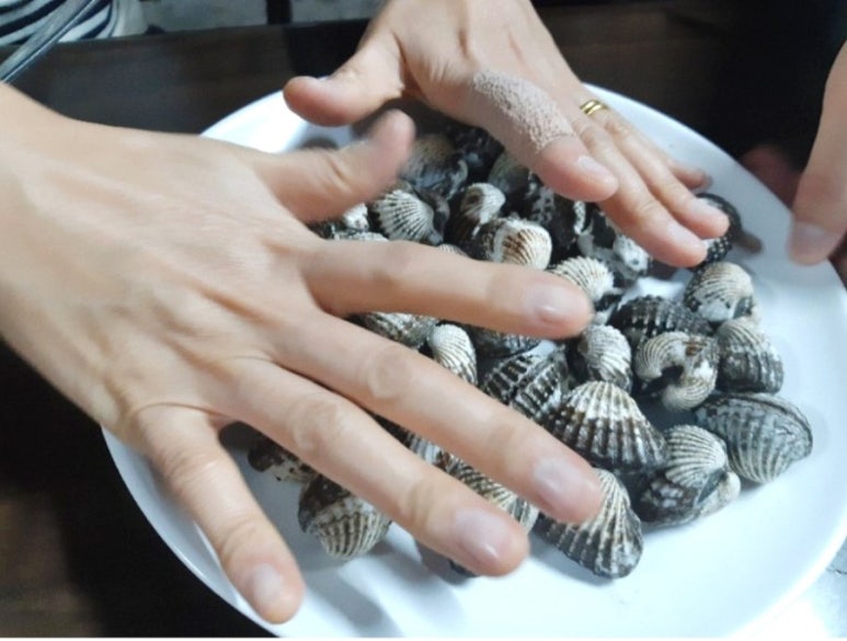 마시리 이미지