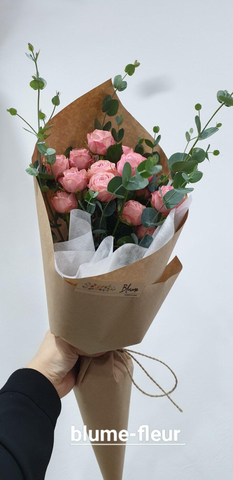 블루메플레르 이미지