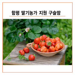 싱싱농가 이미지