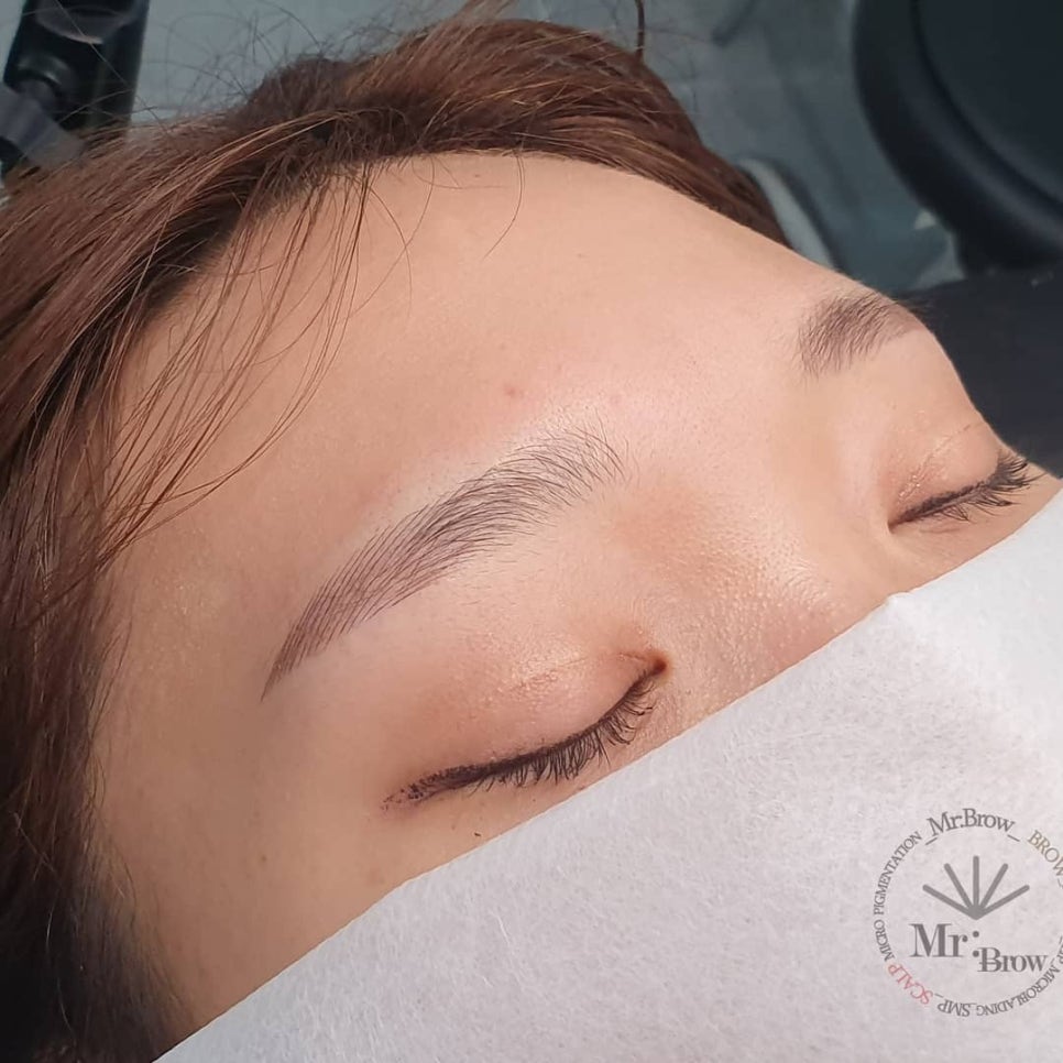 미스터브로우 이미지