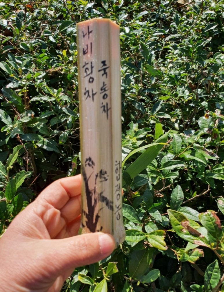 월인천강나비황차원 이미지