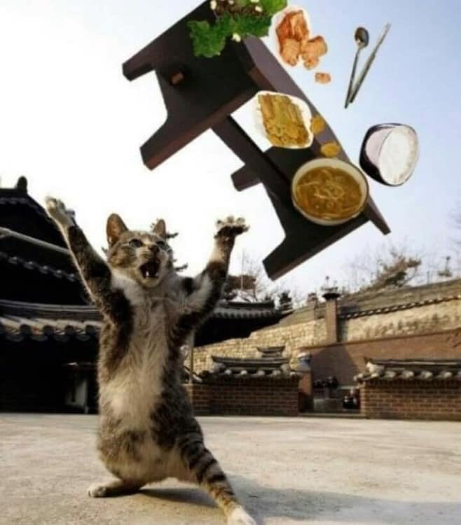 위해통신 이미지