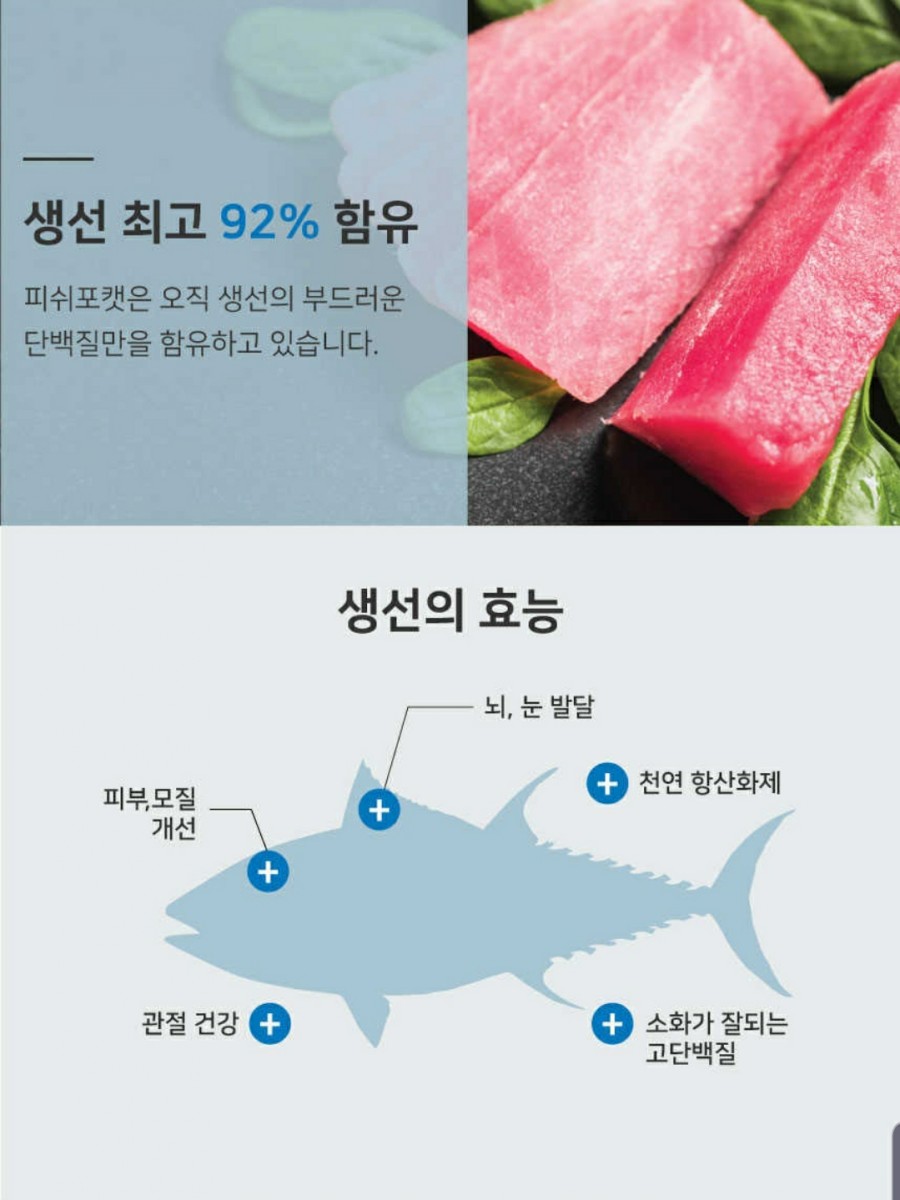 포캣 이미지