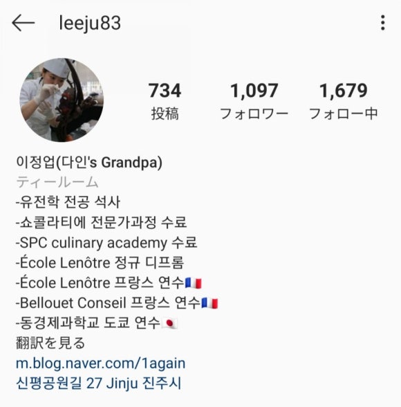 다인스 이미지
