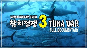 참치전쟁 이미지