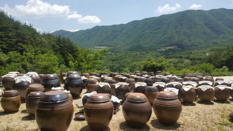 콩항아리전통장 이미지