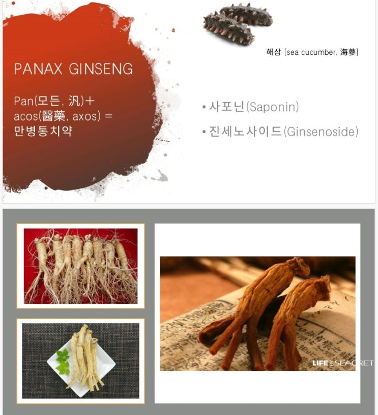 발효코리아 이미지
