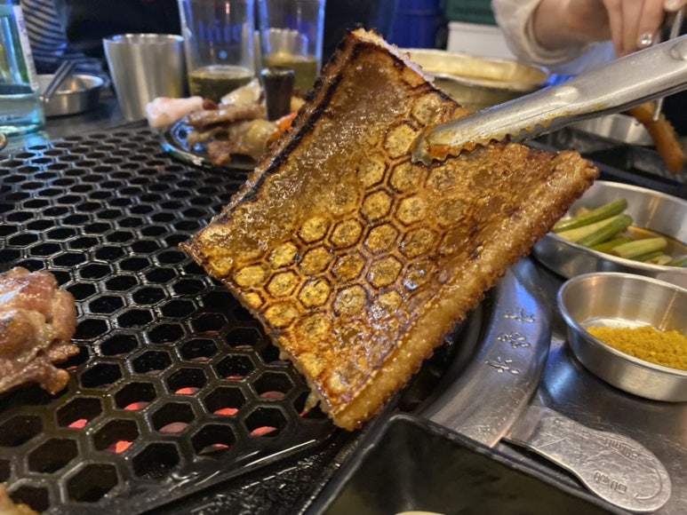 청춘껍데기 이미지
