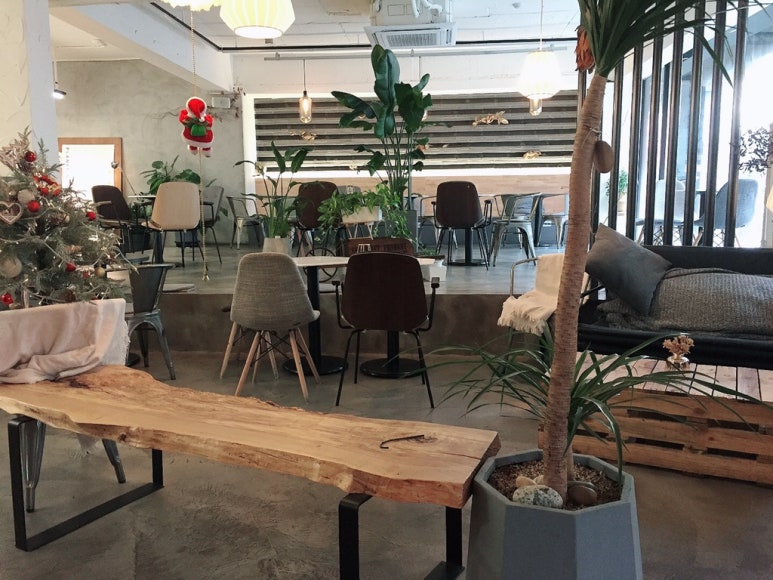 카페플래닛(cafe planet) 이미지