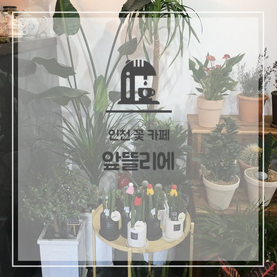 앞뜰리에 이미지
