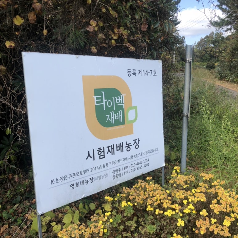 영희네감귤농장 이미지