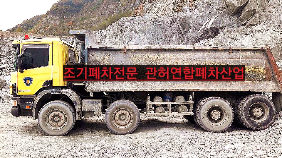 합천추레라 이미지