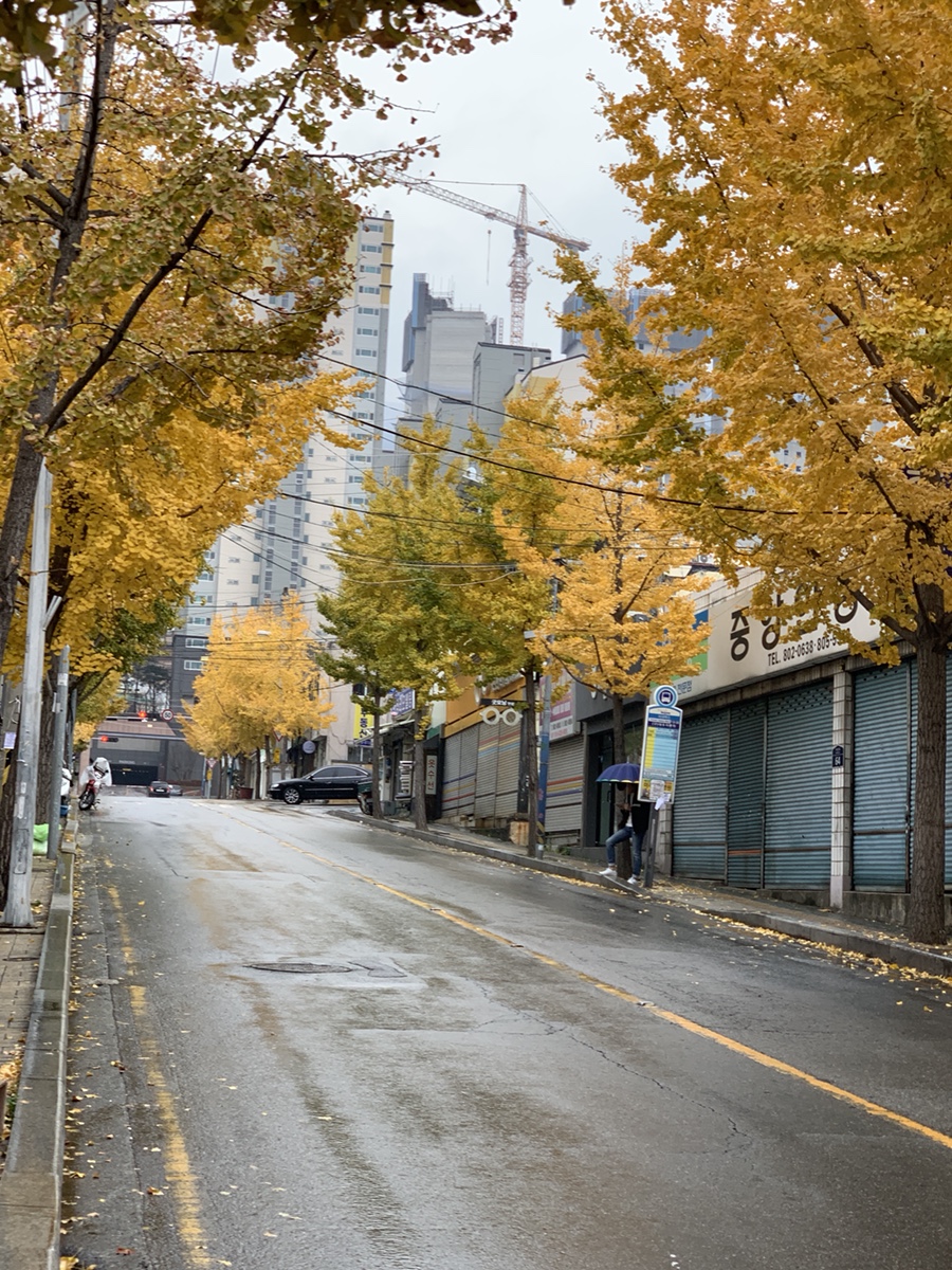 옥천세탁소 이미지