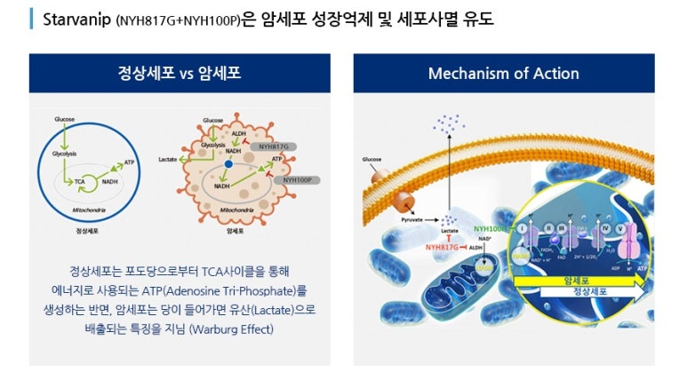 화장품 및 화장용품 도매업 이미지