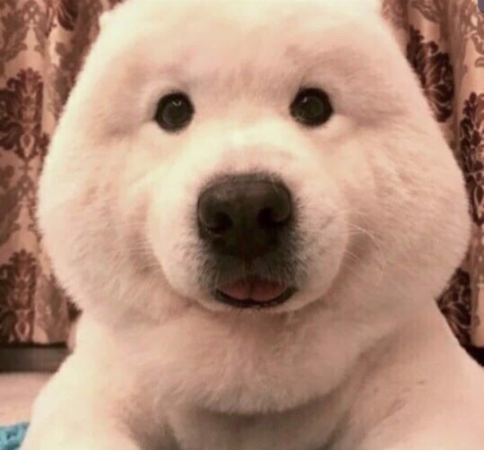 해바다펜션 이미지
