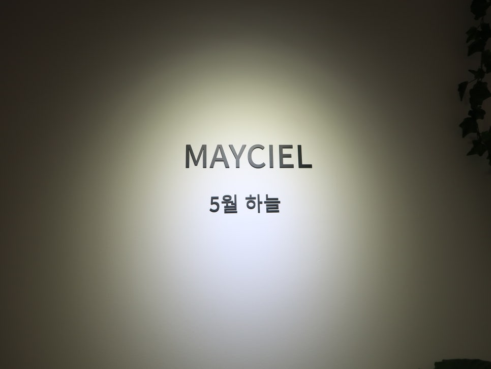 메이씨엘 이미지