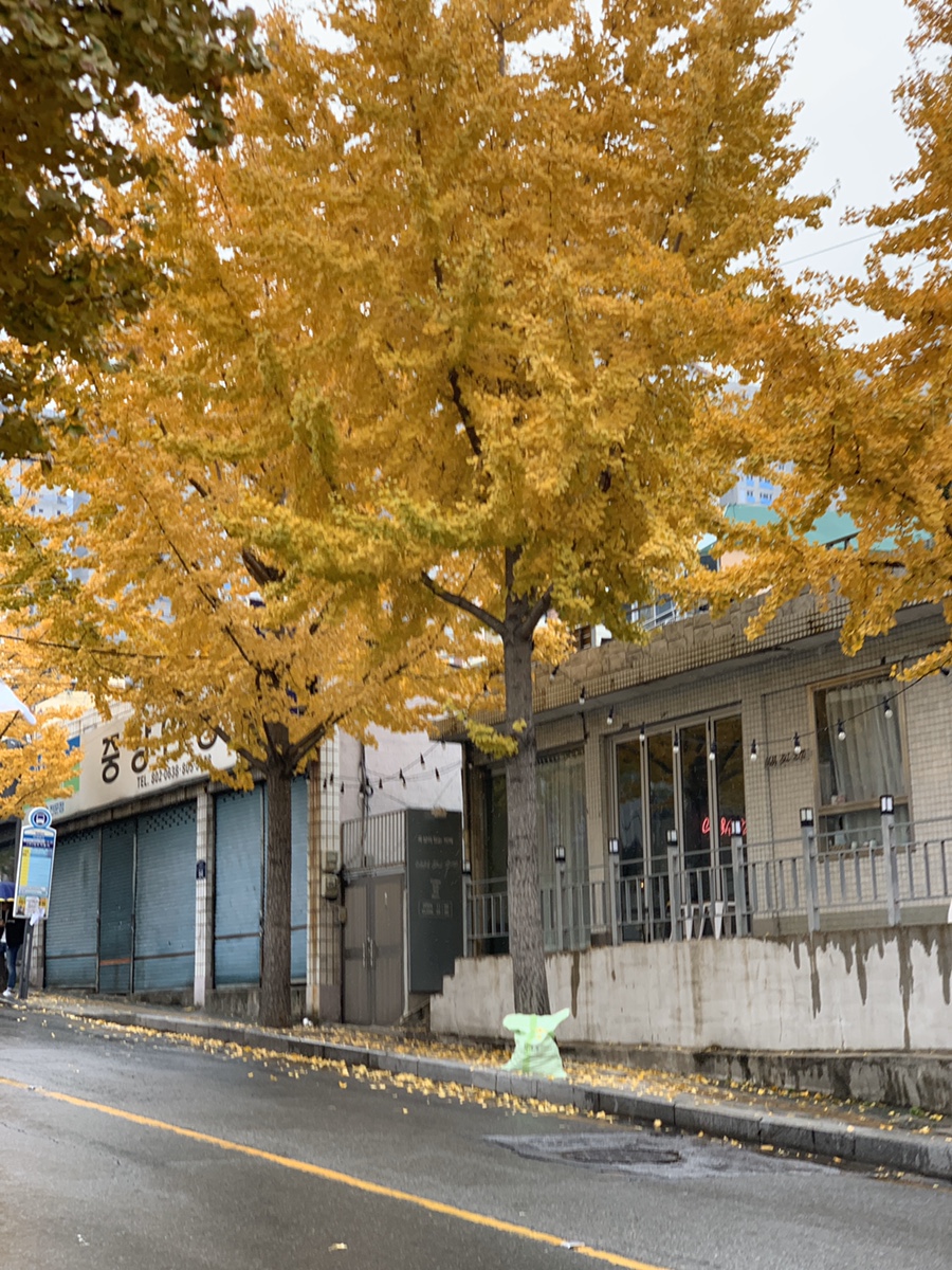 진리세탁 이미지