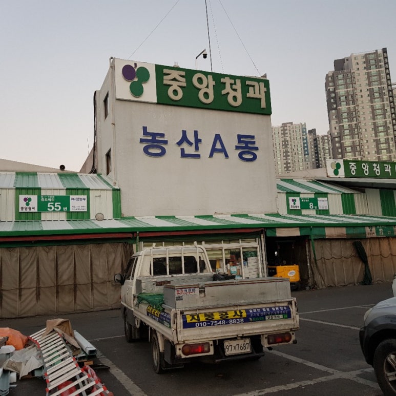 중앙칼라 이미지