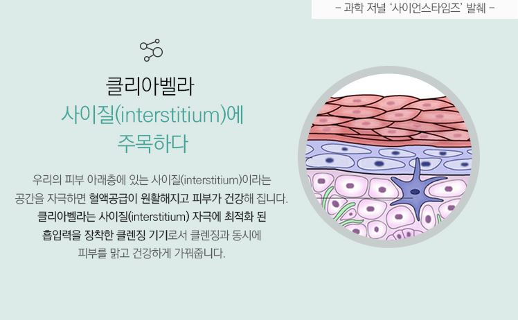 클리아 이미지