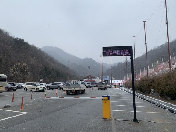 엘리시안강촌스키투데이렌탈샵 이미지