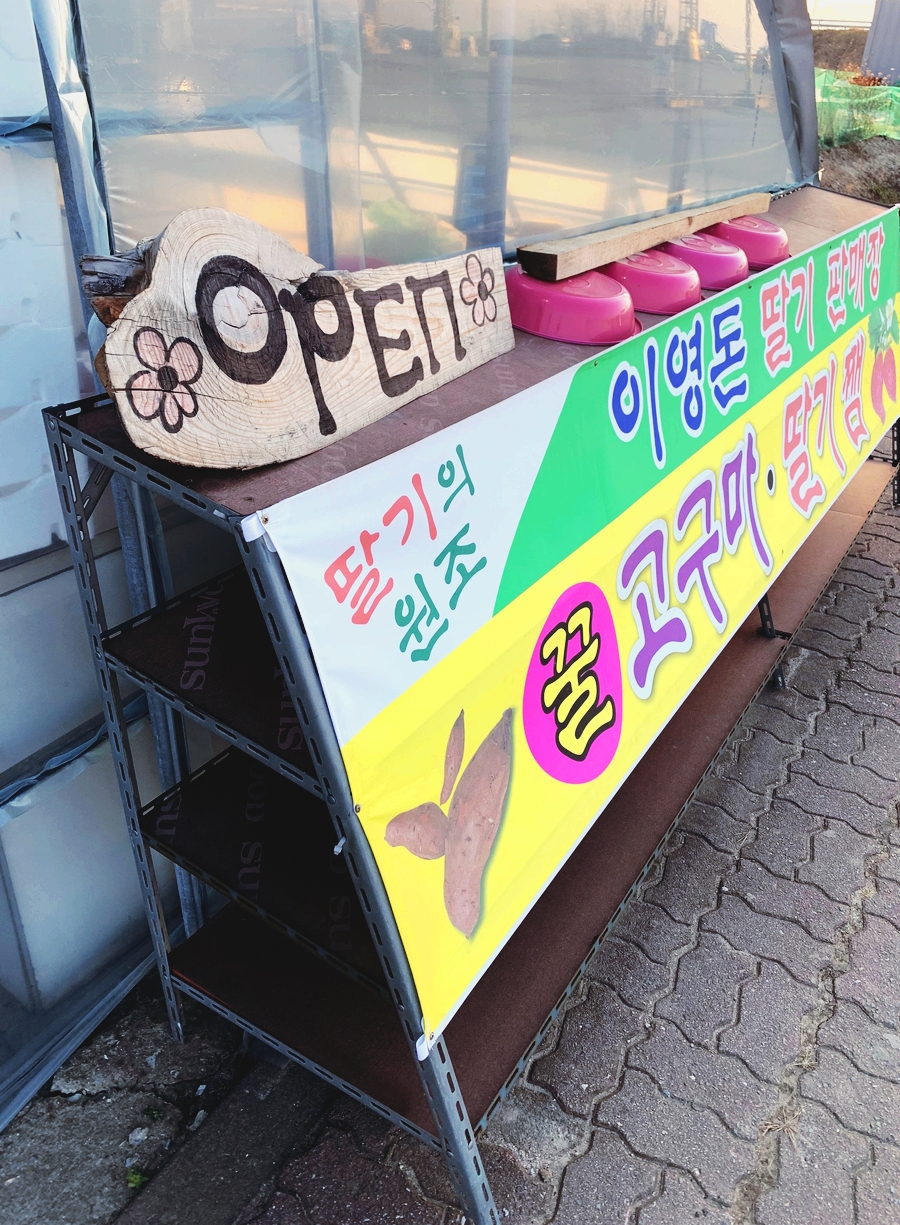 이영돈딸기 이미지