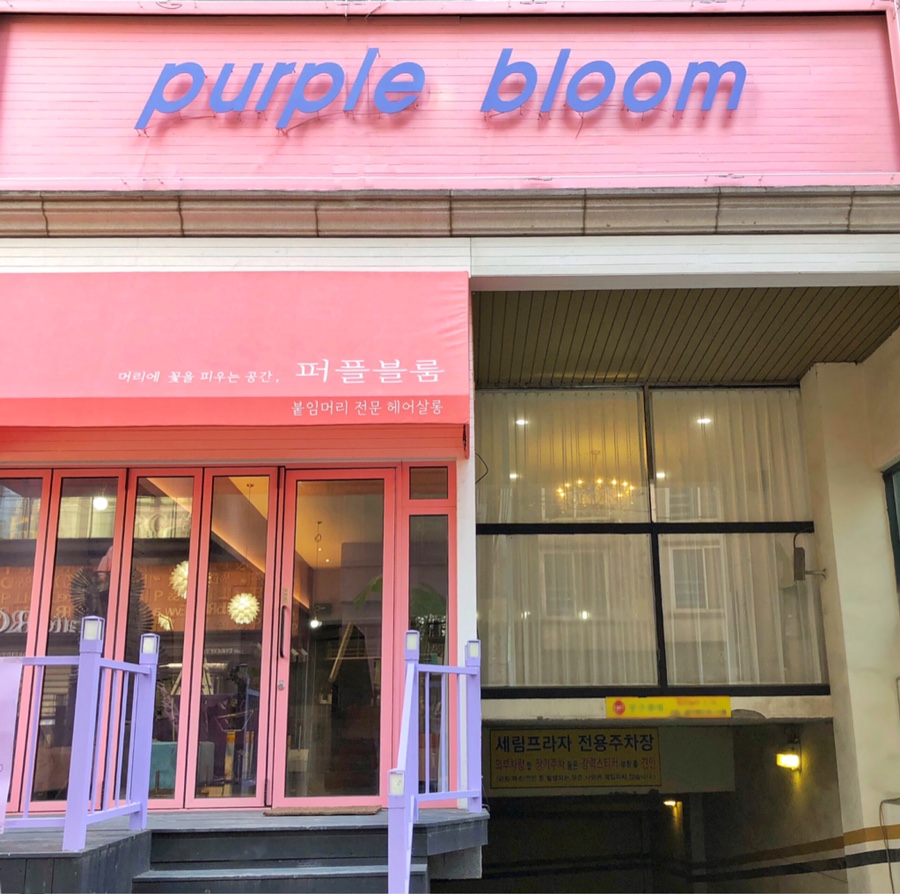 퍼플블룸 이미지