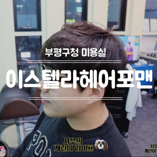 이스텔라헤어포맨 이미지