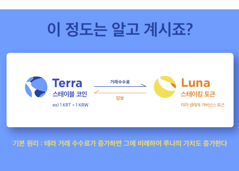 테라넷 이미지