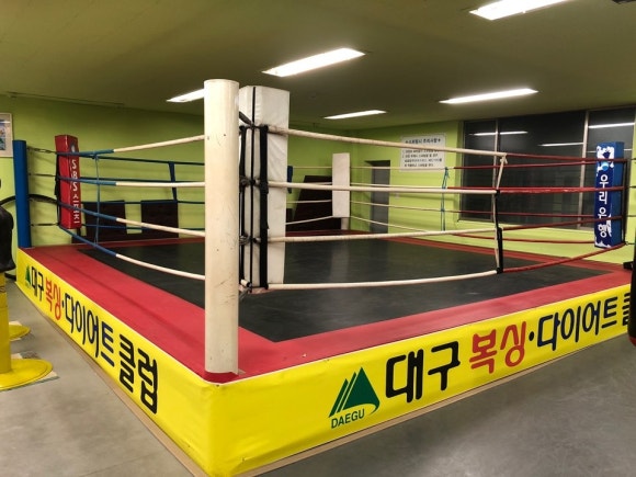 와룡복싱 이미지