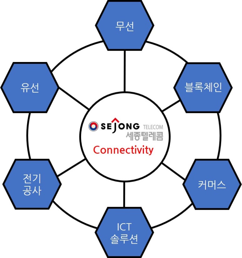 세종에이피아이 이미지