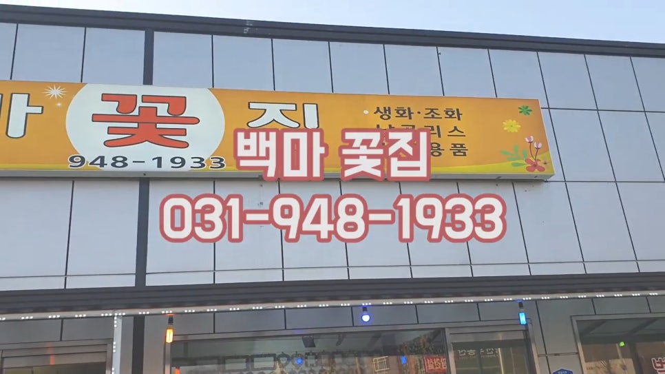 백마상회 이미지