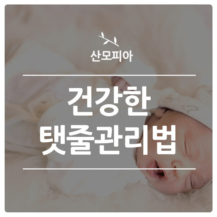 산모피아 이미지