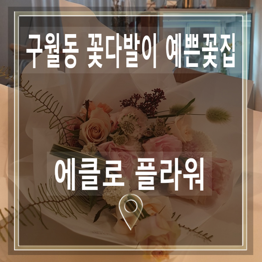 에클로플라워 이미지