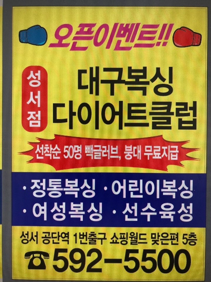 와룡복싱 이미지