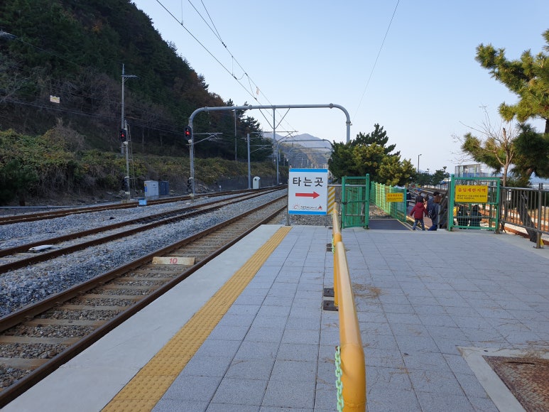 강릉정동진레일바이크 이미지