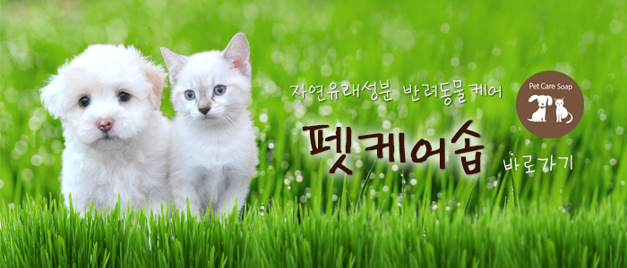 여기펫 이미지