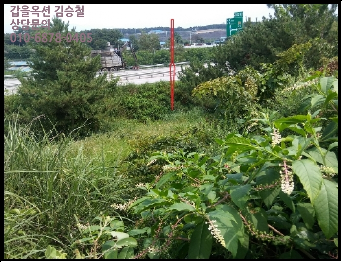 금마세차장 이미지