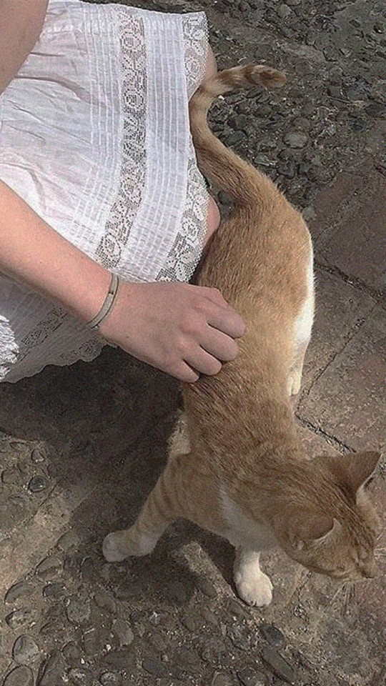 네일친구 이미지